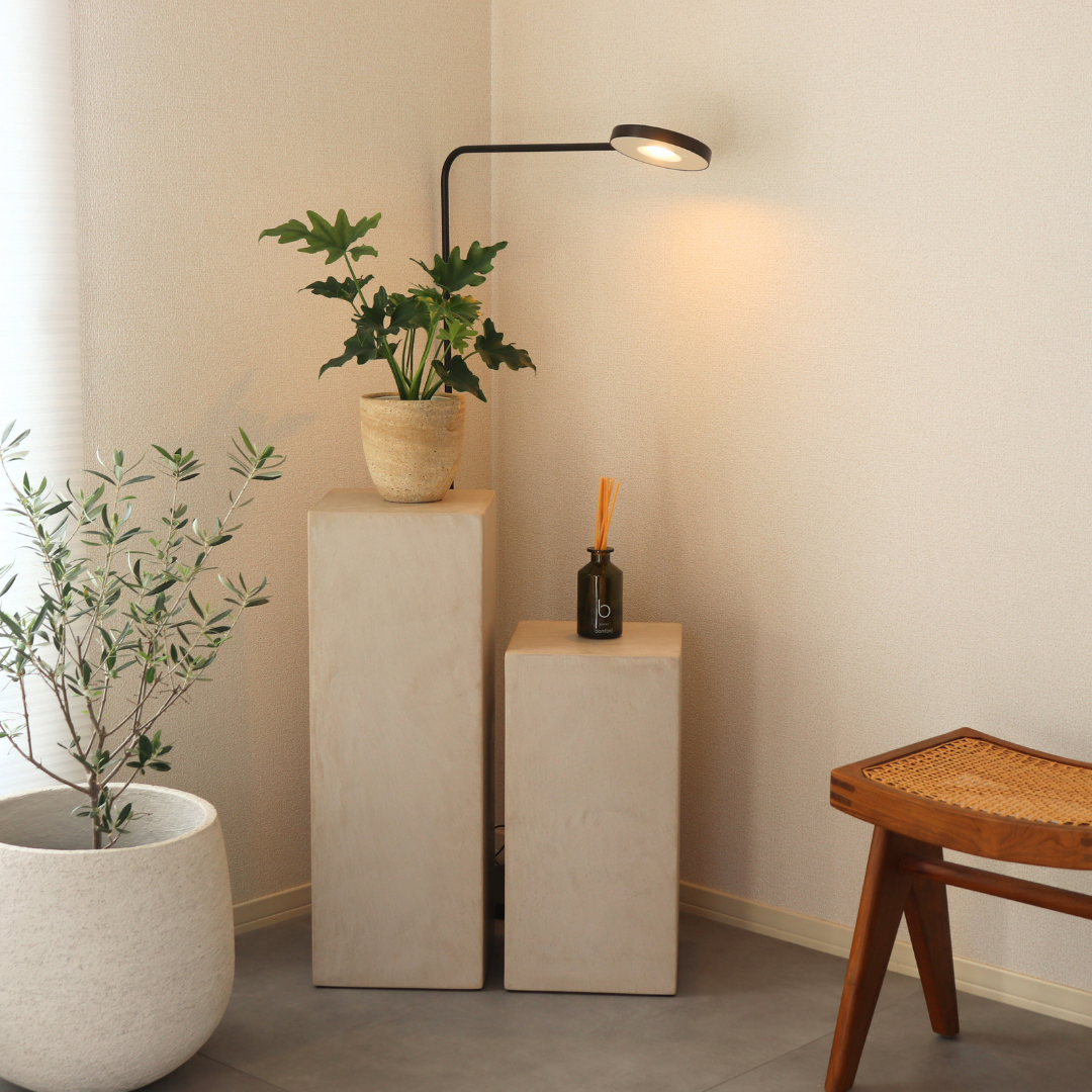 アイボリー コンクリート調 モールテックス