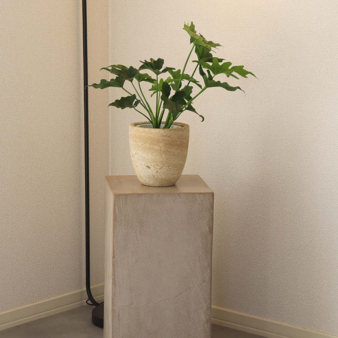 ライトブラウン コンクリート調 モールテックス