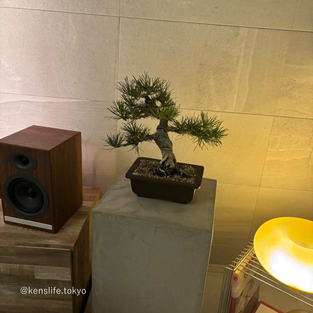 ディスプレイテーブル W300㎜×D300㎜ H400㎜～900㎜